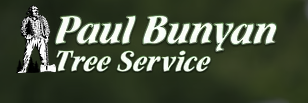 Paul Bunyan Tree Service